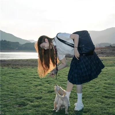 梦墙